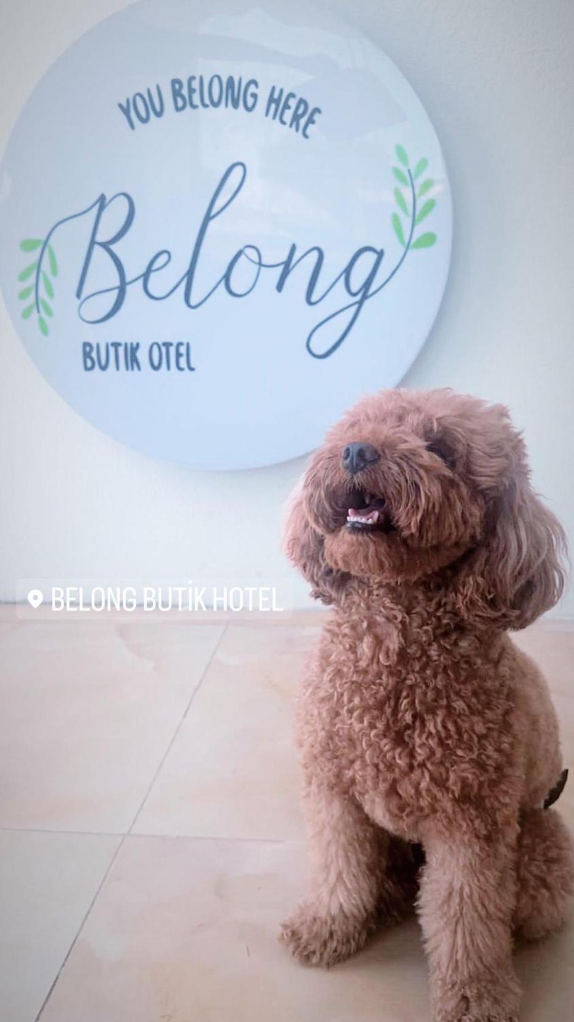 Belong Butik Otel Çeşme Exterior foto